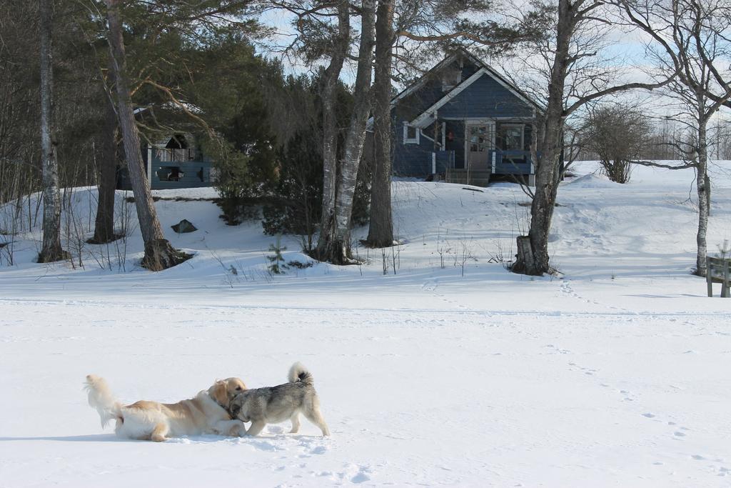 Antintuvan Lomamokit Kauhava Zimmer foto